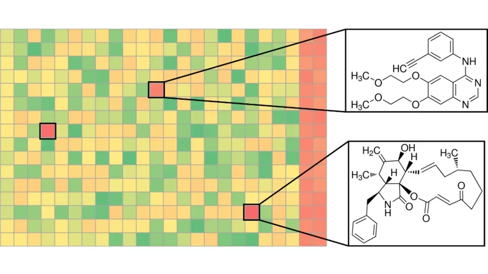 Example of a 384 well plate in which active compounds are identified in specific wells